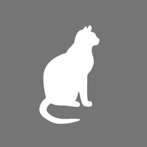 Lost Cat JB (Jack Black)
