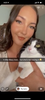 Image of Macy, Lost Cat
