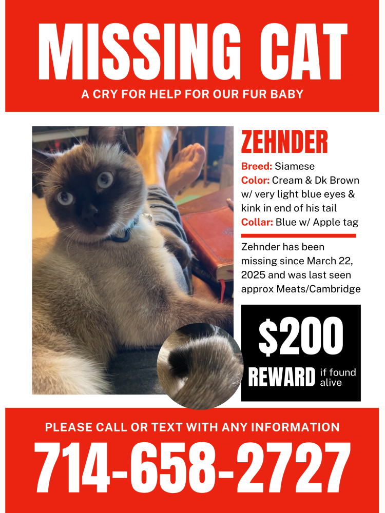 Image of Zehnder, Lost Cat