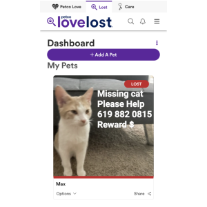 Lost Cat Max