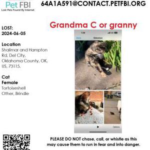 Lost Cat Granny or grandma C